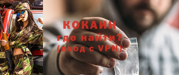 индика Приозерск