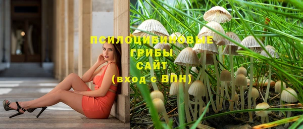 первитин Бородино