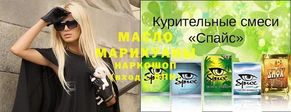 индика Приозерск
