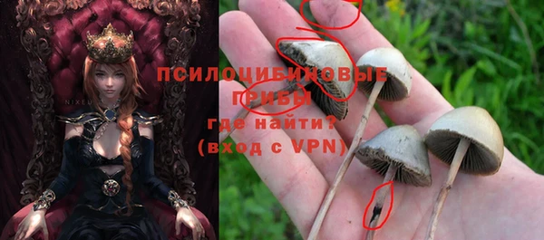 гашиш Богородицк